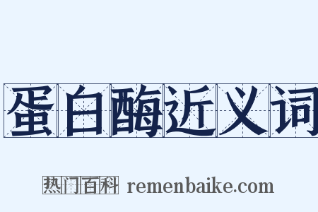 蛋白酶近义词是什么意思的图片